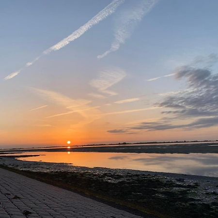 Vakantiewoning De Bosrand Aan Zee 圣安娜兰 外观 照片