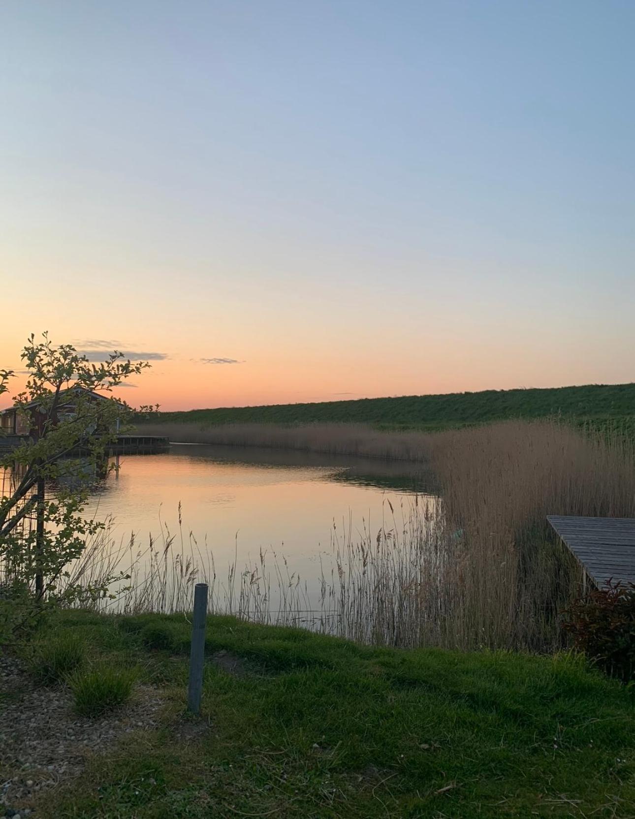 Vakantiewoning De Bosrand Aan Zee 圣安娜兰 外观 照片